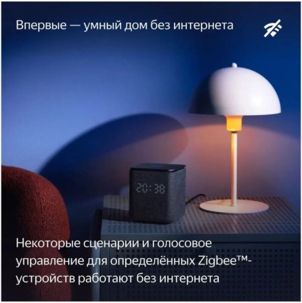 Умная колонка Яндекс Станция Миди (малиновый)