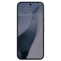 Google Pixel 11 Pro XL 12/256GB Obsidian
