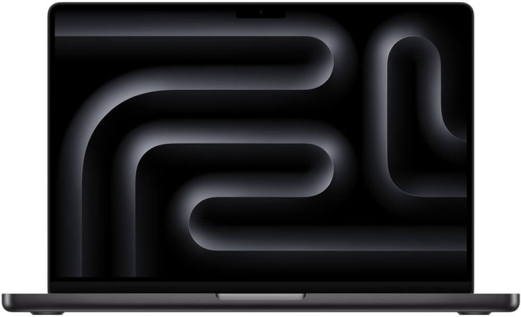 Ноутбук Apple MacBook Pro 14" M4 10c CPU, 10c GPU, 24/1TB черный космос (2024)